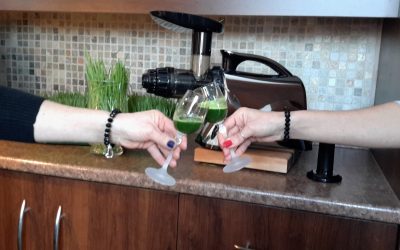 Comment consommer l’herbe de blé?